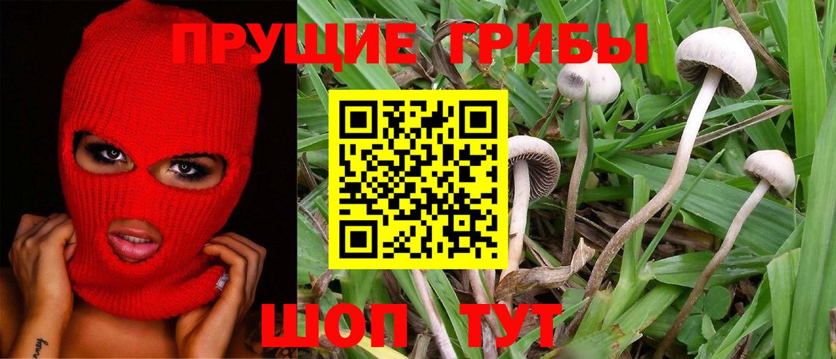 Галлюциногенные грибы Magic Shrooms  Вход с VPN  Галлюциногенные грибы мухоморы  Хасавюрт 