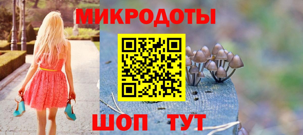 Галлюциногенные грибы Psilocybine cubensis Хасавюрт
