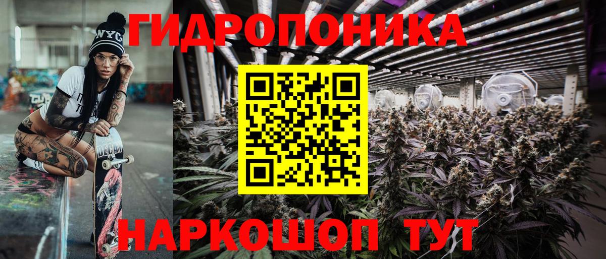 Хасавюрт  Марихуана марихуана  Вход с VPN  Бошки Шишки тримм  Канабис сатива 
